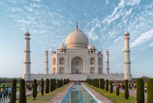 Vanaf luchthaven Delhi: Taj Mahal & Agra privé dagtrip met gids