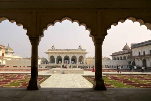 Depuis l'aéroport de Delhi : Excursion privée d'une journée au Taj Mahal et à Agra