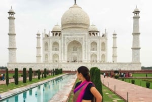 Fra Delhi lufthavn: Dagstur til Taj Mahal med valgfritt fort