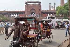 Von Delhi aus: All-inclusive-Tour durch Alt- und Neu-Delhi mit Optionen.