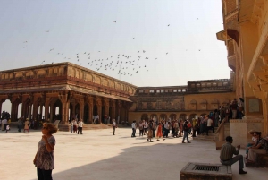 Från Delhi: Jaipur-tur med bil samma dag, all inclusive