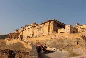 Von Delhi aus: All-inclusive-Same-Day-Tour nach Jaipur mit dem Auto