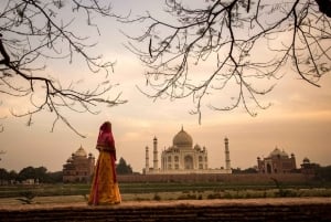 Fra Delhi: Alt inklusive Taj Mahal & Agra-tur med 5*frokost