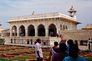 Depuis Delhi : Voyage tout compris à Tajmahal et Agra en train rapide