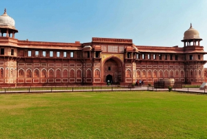 Vanuit Delhi: Alles Inclusief Tajmahal & Agra Reis per Sneltrein