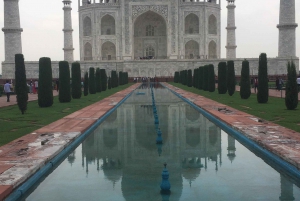 Fra Delhi: All Inclusive Tajmahal & Agra-tur med hurtigtog