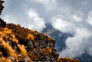 From Delhi: Chopta, Tungnath, and Chandrashila Tour