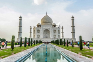 Vanuit Delhi: dagtocht Taj Mahal, Agra Fort en Baby Taj