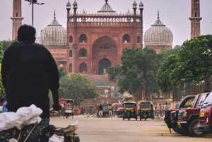 Von Neu-Delhi aus: 2-tägige Führung durch Neu-Delhi und zum Taj Mahal