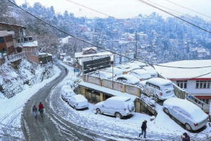 Från Delhi: Paketresa från Delhi till Shimla Kufri