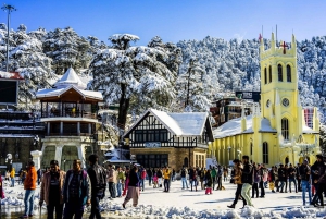 From Delhi: Delhi to Shimla Kufri Tour Package