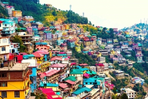 Van Delhi: Delhi naar Shimla Kufri Tour-pakket