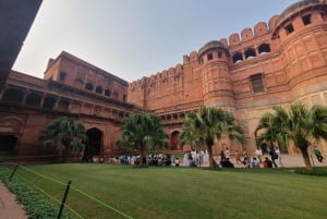 Desde Delhi: Excursión de lujo al Taj Mahal en Agra en coche de lujo