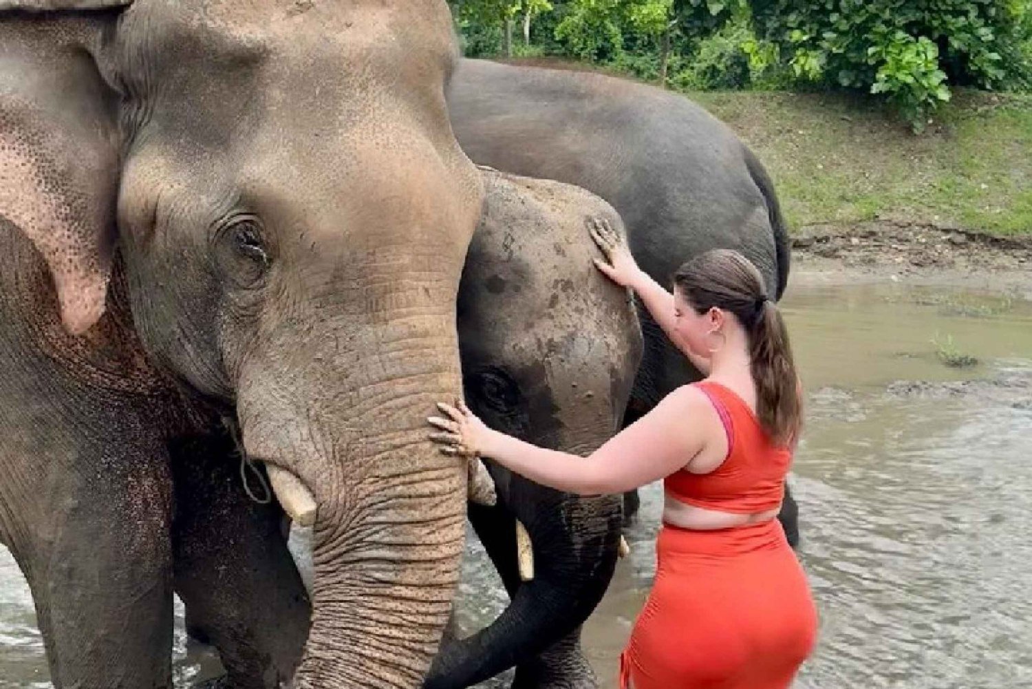 Von Delhi: Taj Mahal bei Sonnenaufgang, Agra Fort & Elefanten-Tour