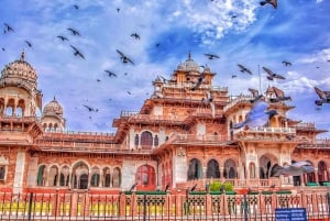 From Delhi: Full Day Jaipur City Guided Tour with Lunch