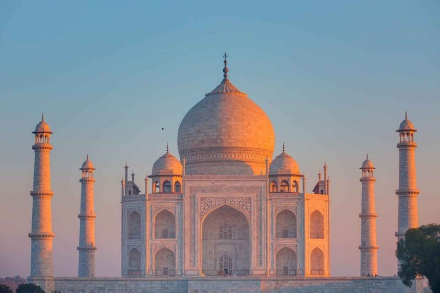 Vanuit Delhi: volledige dag bezichtiging van het fort Tajmahal en Agra