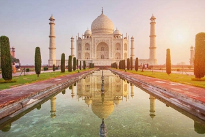 Da Delhi: visita turistica di un'intera giornata al forte Tajmahal e Agra