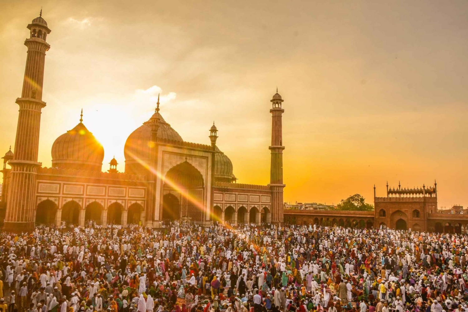 De Delhi: excursão guiada particular de vários dias pelo Triângulo Dourado