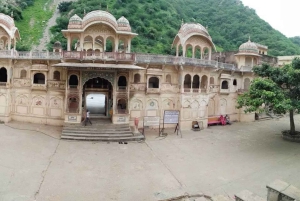 Von Delhi: Goldenes Dreieck & Ranthambhore