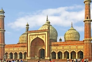 Von Delhi: Goldenes Dreieck & Ranthambhore