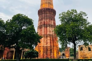 Von Delhi: Goldenes Dreieck & Ranthambhore