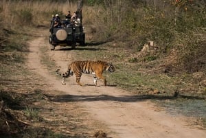 Von Delhi: Goldenes Dreieck & Ranthambhore