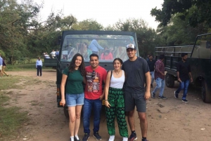 Från Delhi: Gyllene triangeln & Ranthambore tigersafari 4 dagar