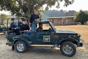 Vanuit Delhi: Gouden Driehoek & Ranthambore Tijgersafari 4 Dagen