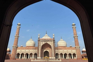 Van Delhi: Golden Triangle Tour naar Agra en Jaipur - 5 dagen