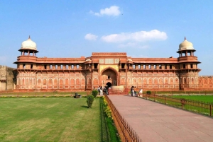 Da Delhi: tour del Triangolo d'oro con Agra, Jaipur e safari