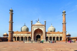 Da Delhi: tour del Triangolo d'oro con Agra, Jaipur e safari