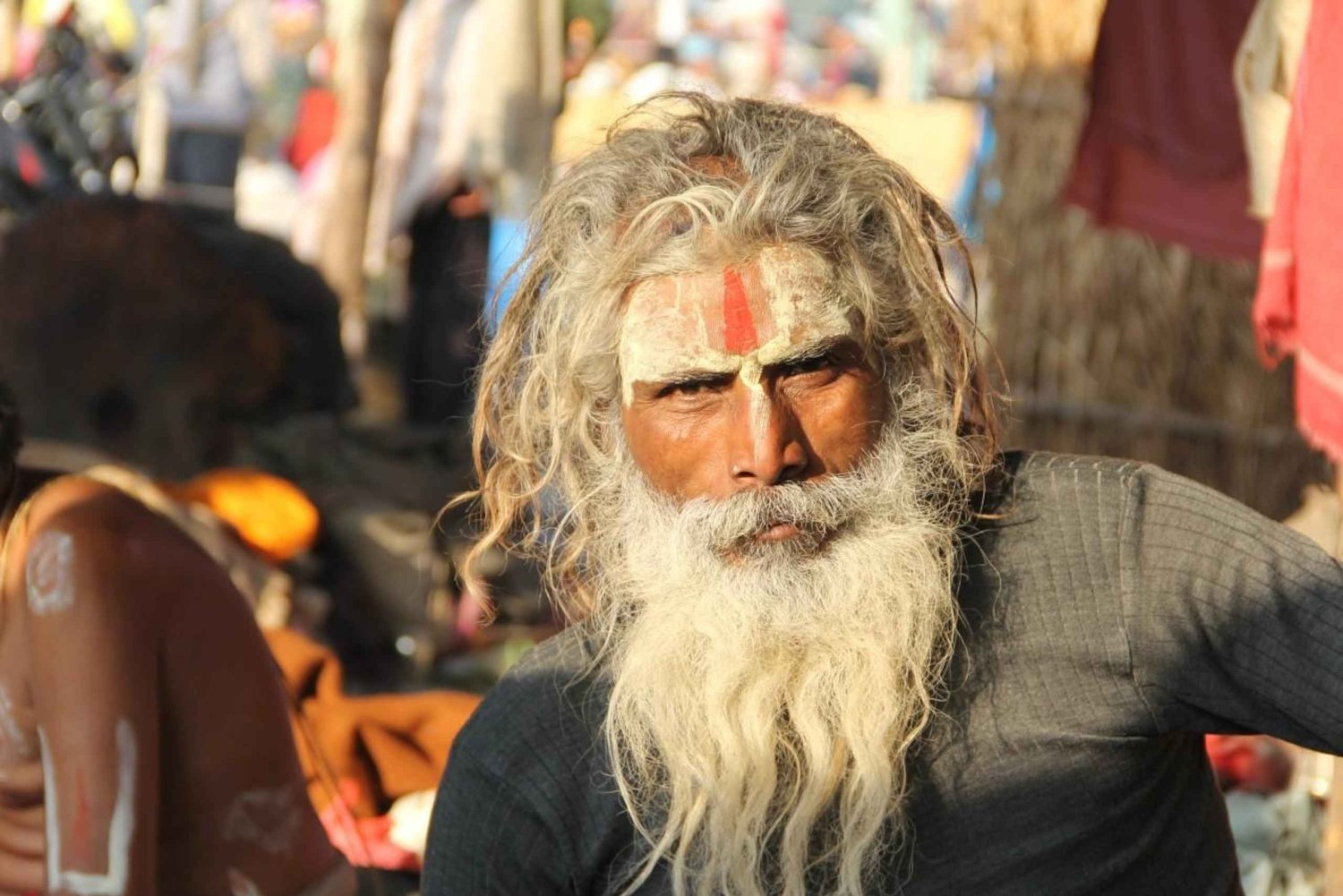 Privat dagstur fra Delhi til Taj Mahal og Agra