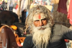 Privat dagstur fra Delhi til Taj Mahal og Agra