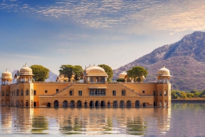 Ab Delhi: Jaipur und Ranthambore 5-tägige Tour mit Safaris