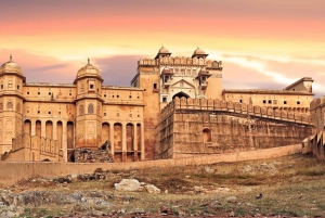 From Delhi: Jaipur and Ranthambore 5-Day Tour with Safaris