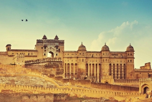 From Delhi: Jaipur and Ranthambore 5-Day Tour with Safaris