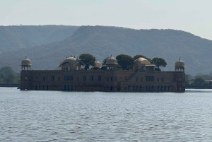 Da Delhi: tour della città di Jaipur in auto privata