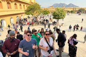 Au départ de Delhi : excursion d'une journée à Jaipur, ville historique et culturelle