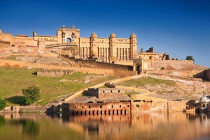 From Delhi: Jaipur City Private Day Tour By Car