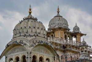 Depuis Delhi : excursion d'une journée à Jaipur en train rapide ou en voiture privée