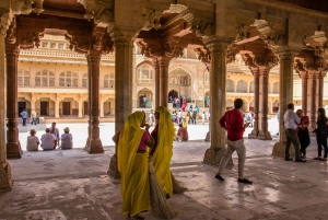 Depuis Delhi : excursion d'une journée à Jaipur en train rapide ou en voiture privée