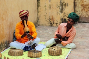 De Délhi: Viagem de um dia a Jaipur de trem rápido ou carro particular