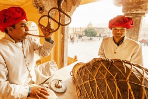 Fra Delhi: Dagsudflugt til Jaipur med guide og Toyota Crysta