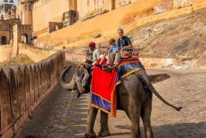 Från Delhi: Jaipur - privat guidad heldagsutflykt i Jaipur