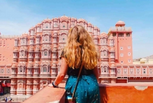 Au départ de Delhi : visite guidée privée d'une journée à Jaipur