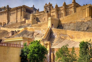 From Delhi: Jaipur Private Full-Day Guided Tour