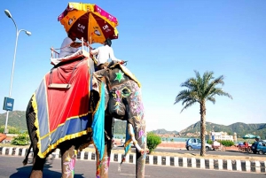 Au départ de Delhi : visite guidée privée d'une journée à Jaipur