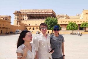 Desde Delhi: Excursión Privada de Un Día a Jaipur