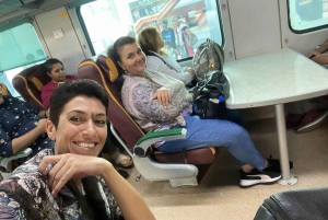 Vanuit Delhi: Jaipur privéreis op dezelfde dag met de auto of trein