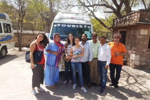 Von Delhi: Jaipur Private Tagestour mit Auto oder Zug